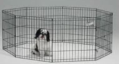 תמונה של גור כלבים בגדר